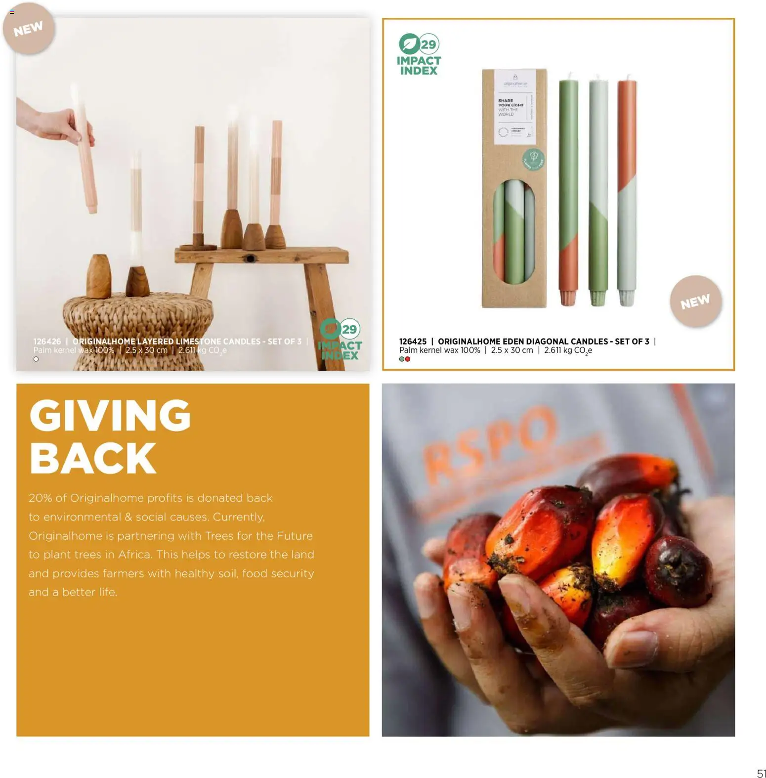 Sapo Giveaways Endless possibilities – σε ισχύ από 14.01.2026 | Σελίδα: 51