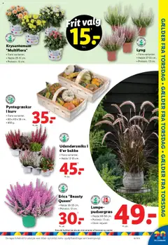 Lidl tilbudsavis – gyldig fra 14.09.2025 | Side: 27 | Produkter: Kurv, Lampe
