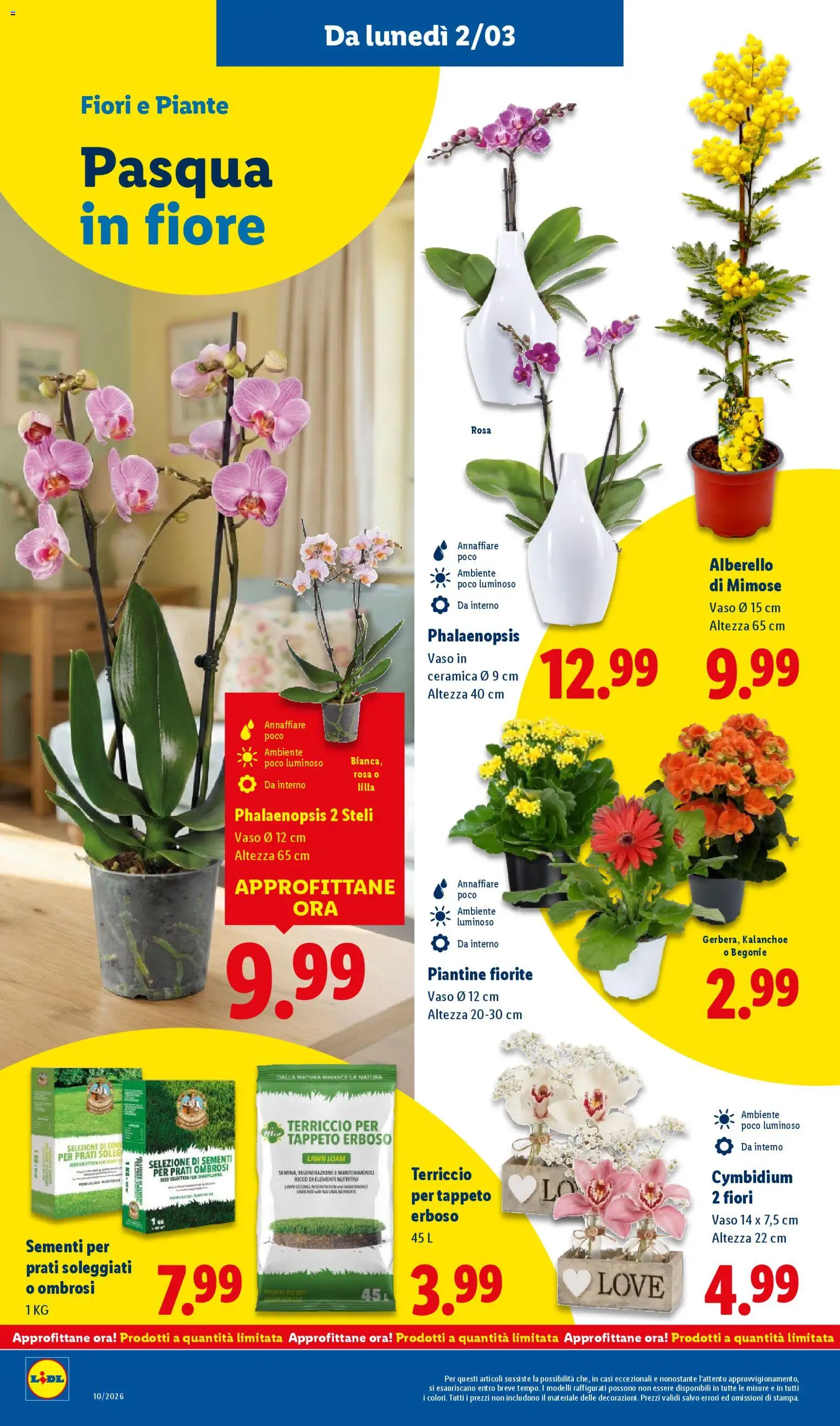 Volantino Lidl del 02.03.2026 | Pagina: 40 | Prodotti: Terriccio, Tappeto, Vaso