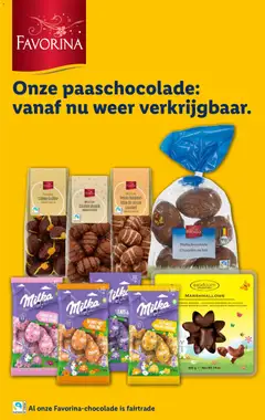 Lidl Folder week 5 - Voorbeeld van een folder van Lidl, geldig van 28.01.2026 | Pagina: 25