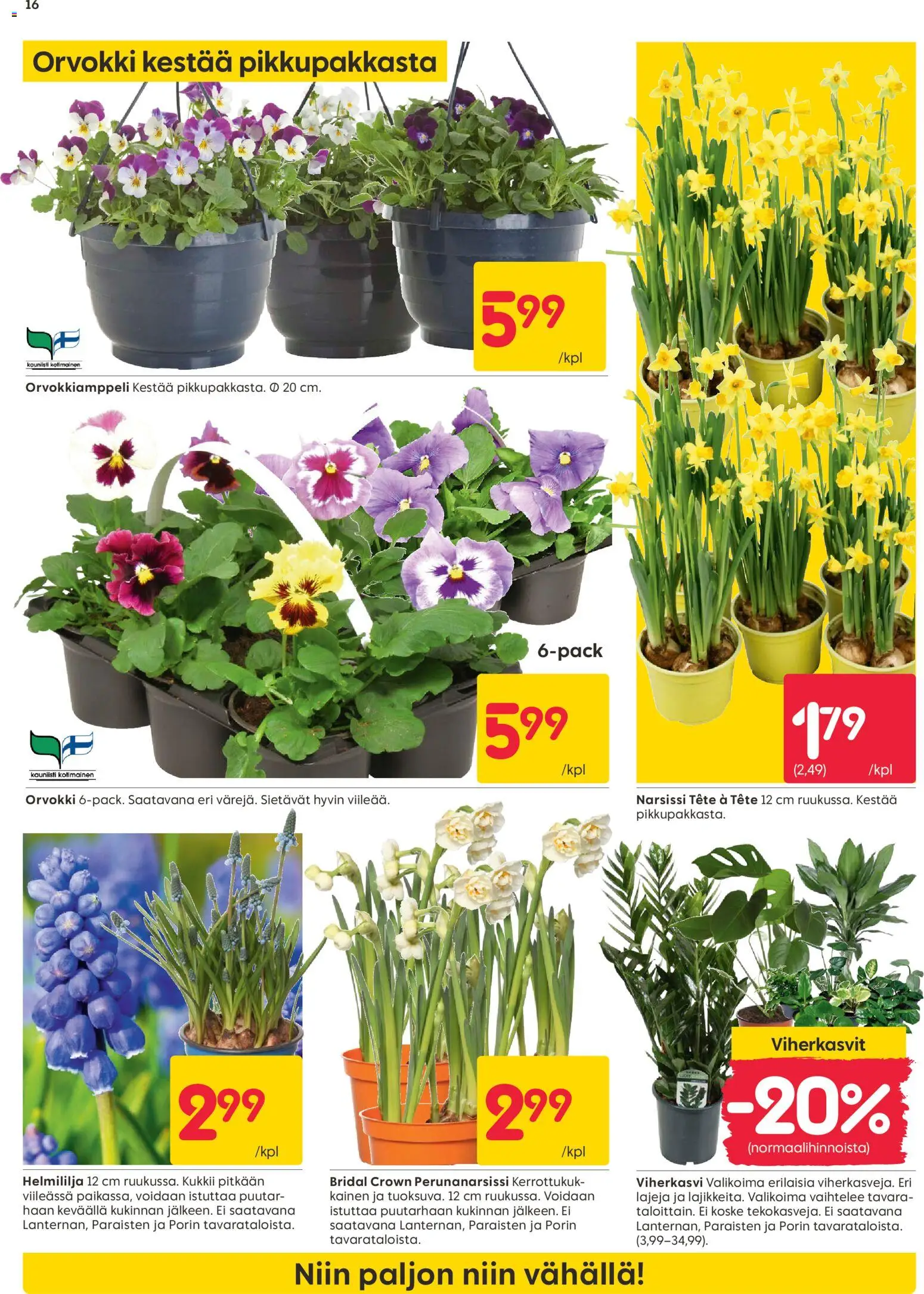 Rusta tarjoukset – voimassa 23.03.2026 alkaen | Sivu: 16