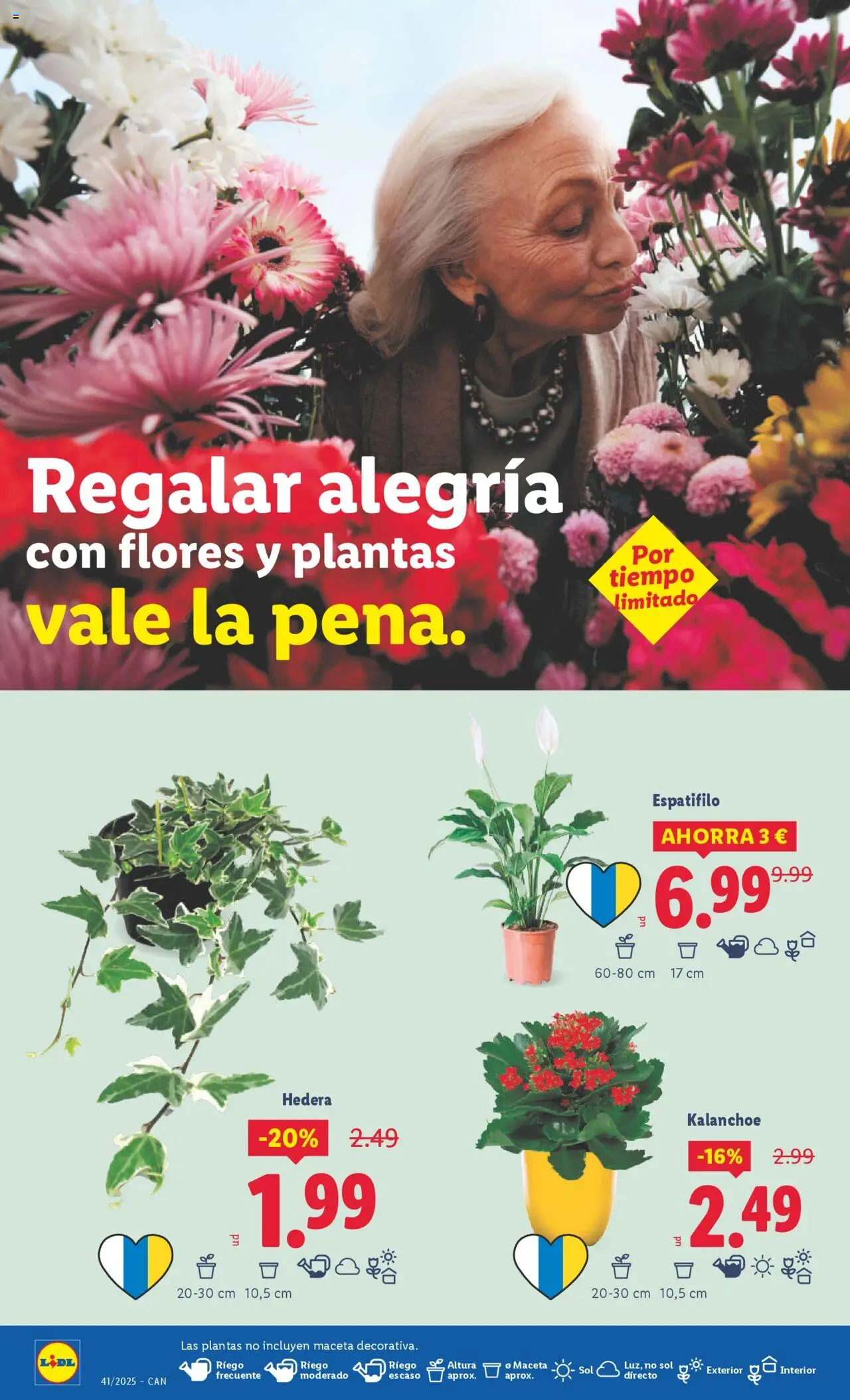 Lidl - Canarias │ válido desde el 06.10.2025 | Página: 42 | Productos: Maceta