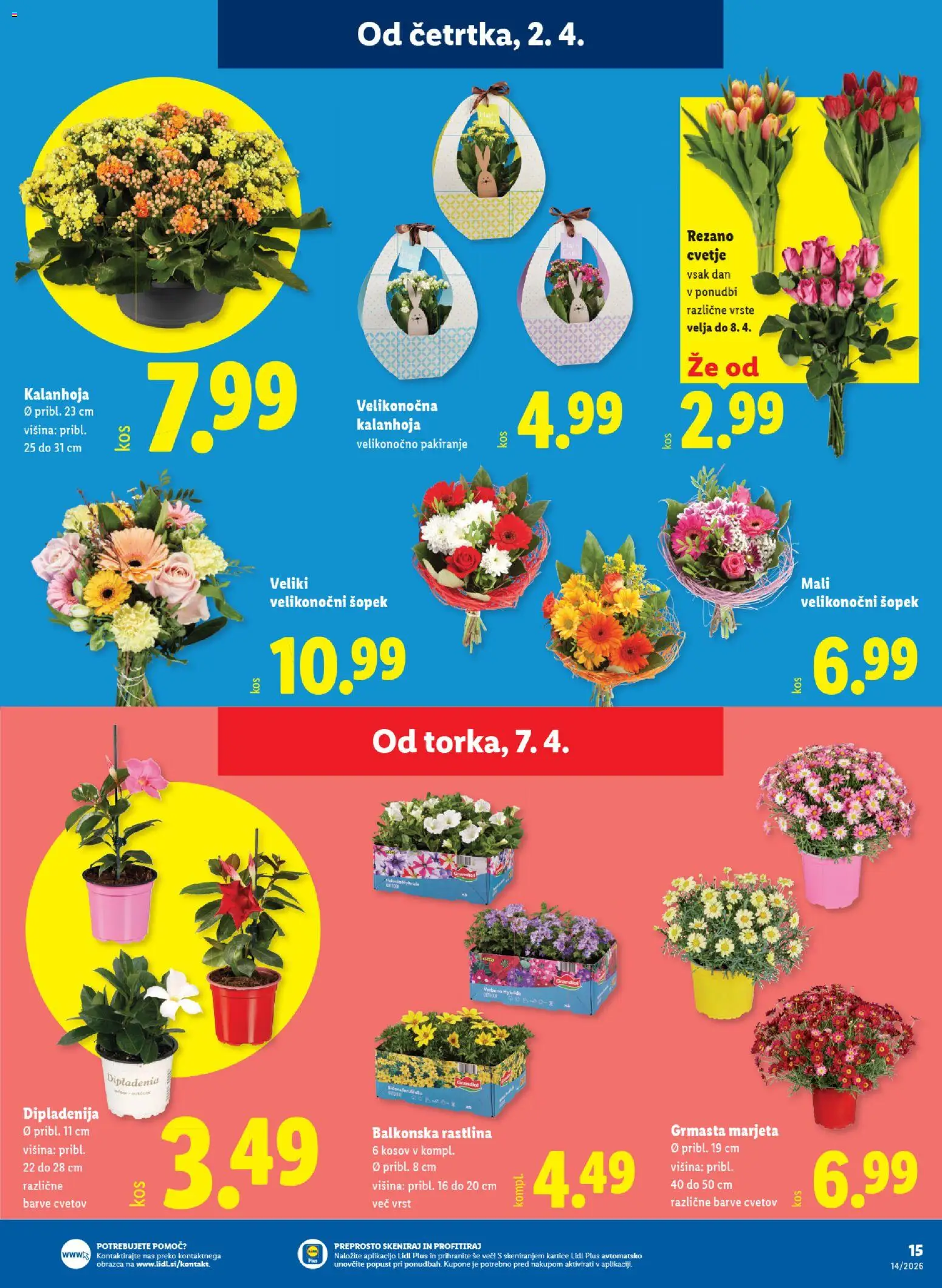 Novi Lidl katalog ponudbe – veljaven od 02.04.2026 | Stran: 27 | Izdelki: Cvetje, Šopek