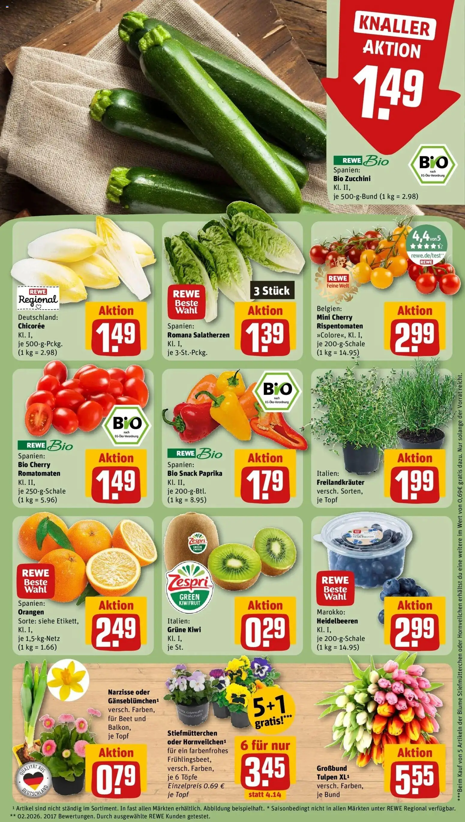Rewe Prospekt Köln / Lindenthal	 – gültig ab 15.03.2026 | Seite: 9 | Produkte: Stiefmutterchen, Heidelbeeren, Zucchini, Kiwi