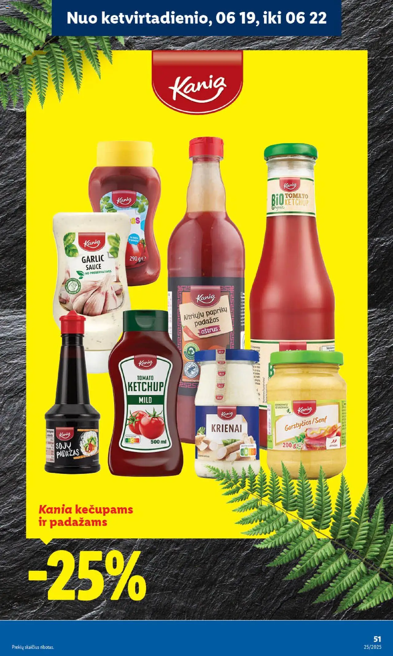 LIDL leidinys│galioja nuo 16.06.2025 | Puslapis: 51 | Prekių: Padažas