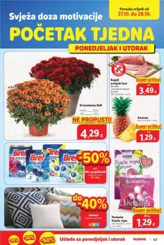 Plodine - Katalog - Pregled kataloga iz trgovine Plodine, vrijedi od 22.10.2025 | Stranica: 43