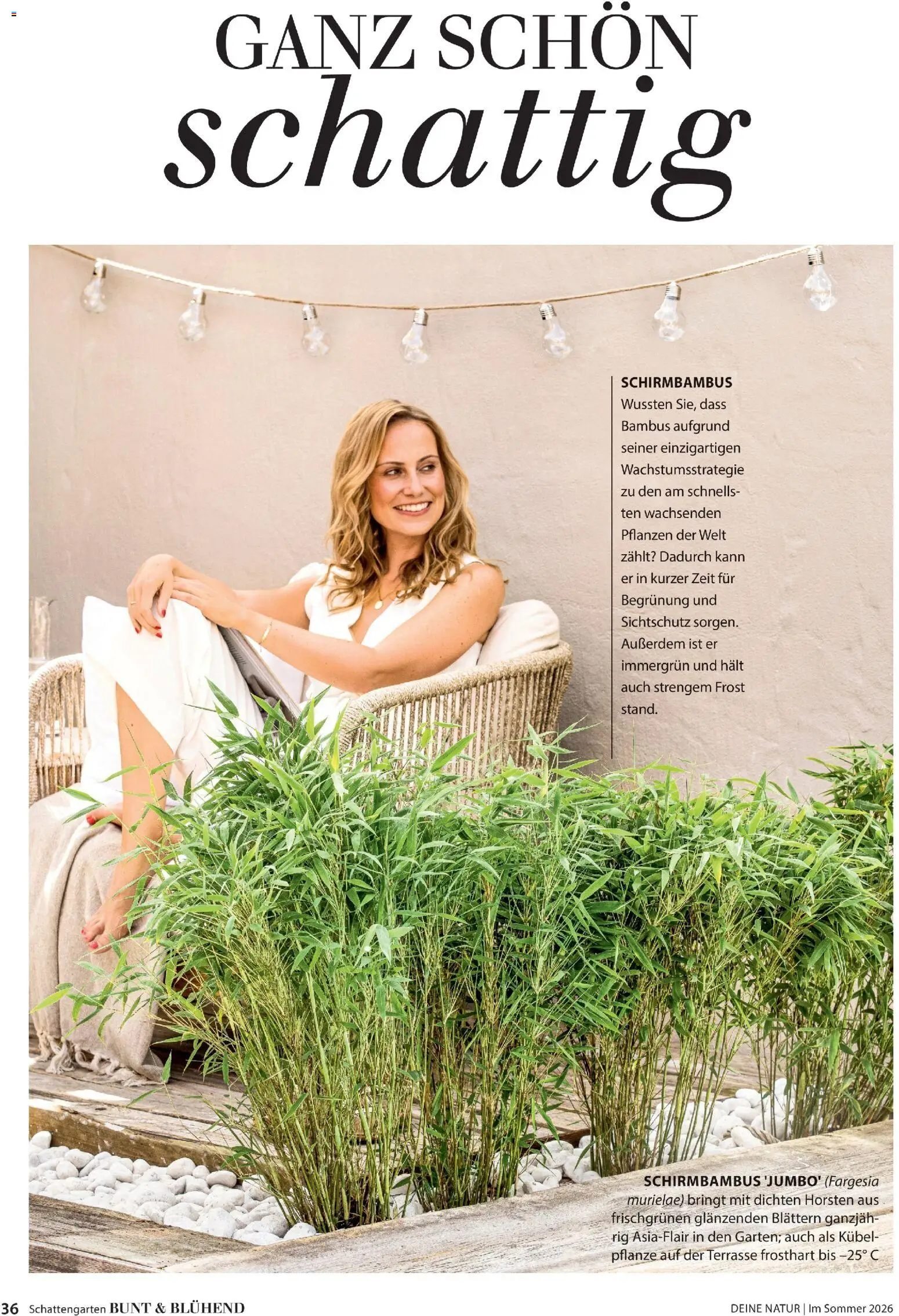 Dehner Prospekt 	 – gültig ab 17.04.2026 | Seite: 36