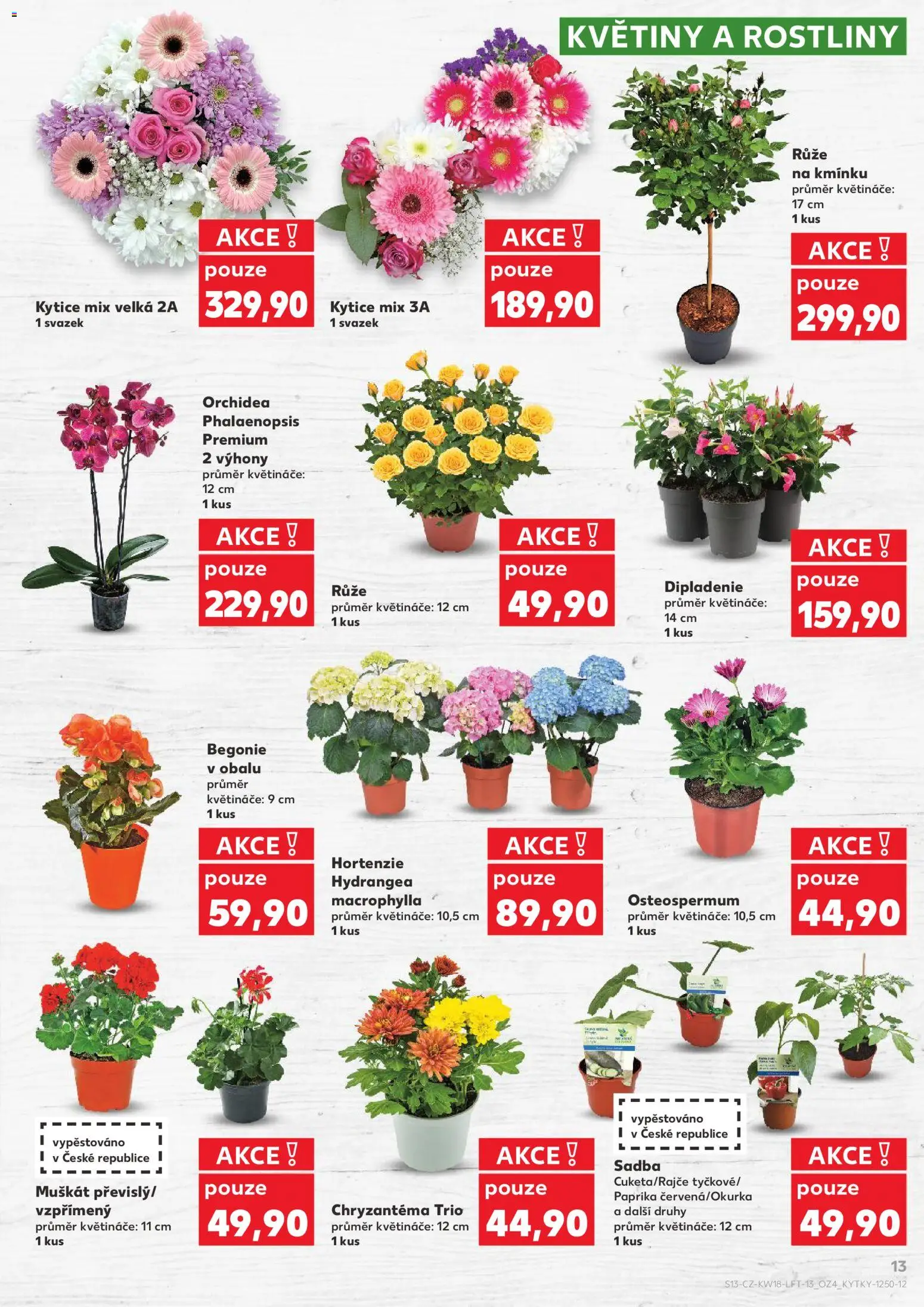 Kaufland leták - Plzeň Bory od 29.04.2026 | Strana: 13 | Produkty: Květináče, Rostliny, Kytice, Květiny