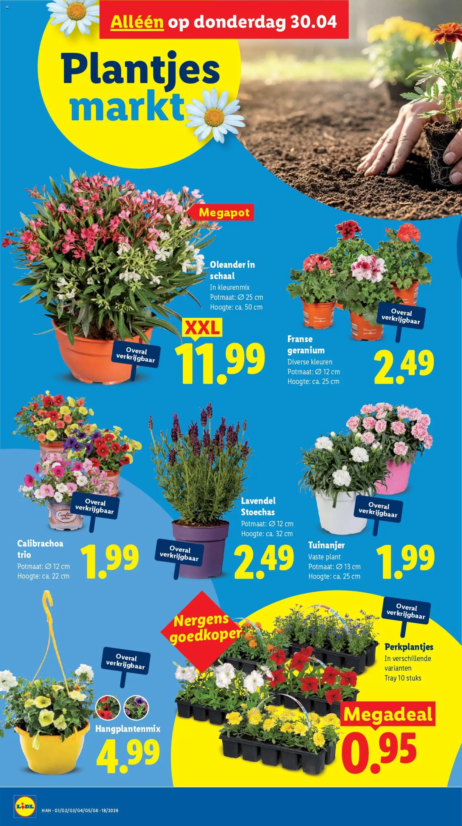 {H1} | Pagina: 26 | Producten: Overal, Schaal