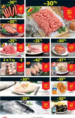  | Pagina: 2 | Producten: Merguez, Zalm, Mosselen, Rundvlees