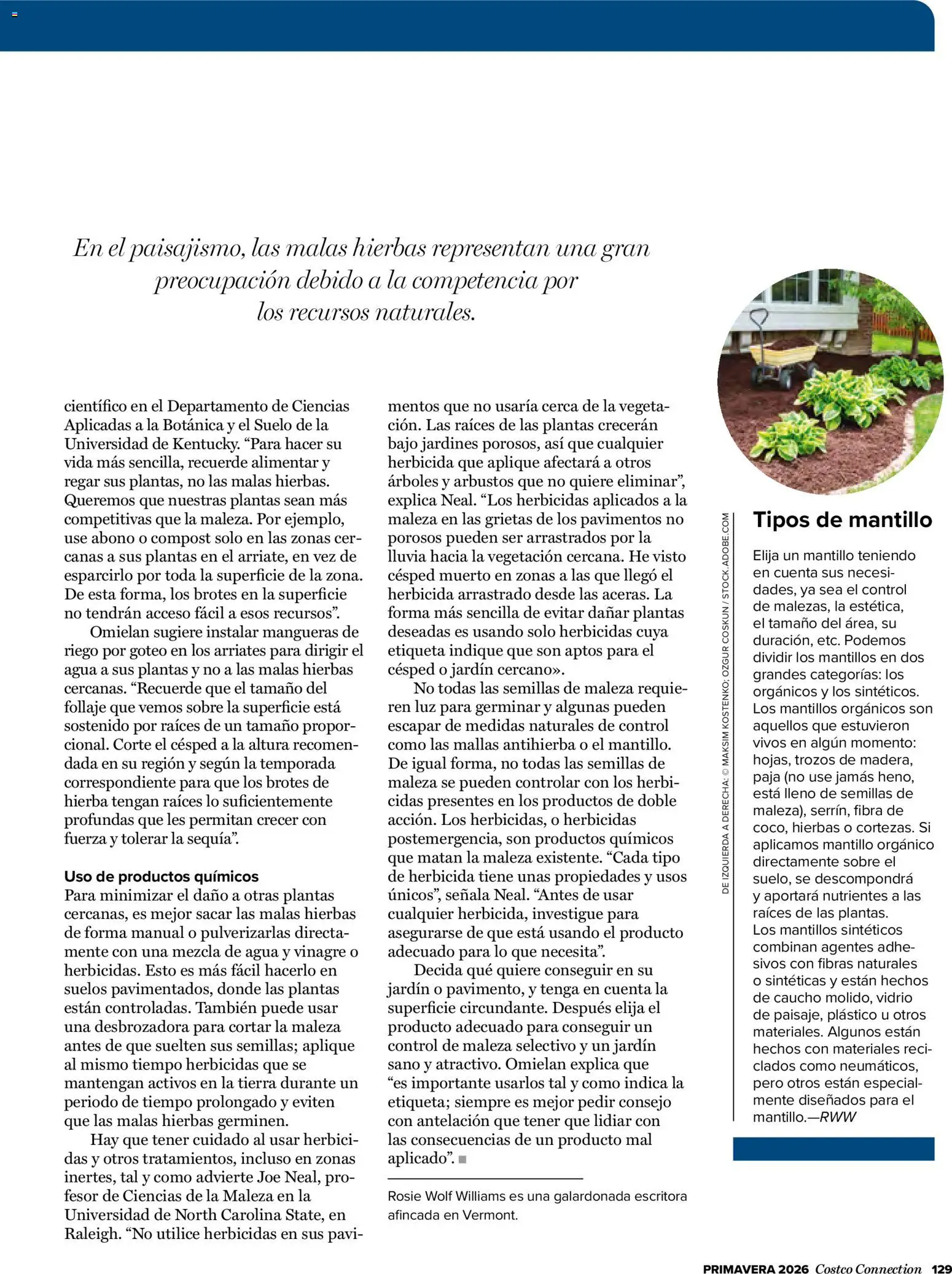 Costco catálogo │ válido desde el 19.03.2026 | Página: 129 | Productos: Desbrozadora, Δεξαμενή