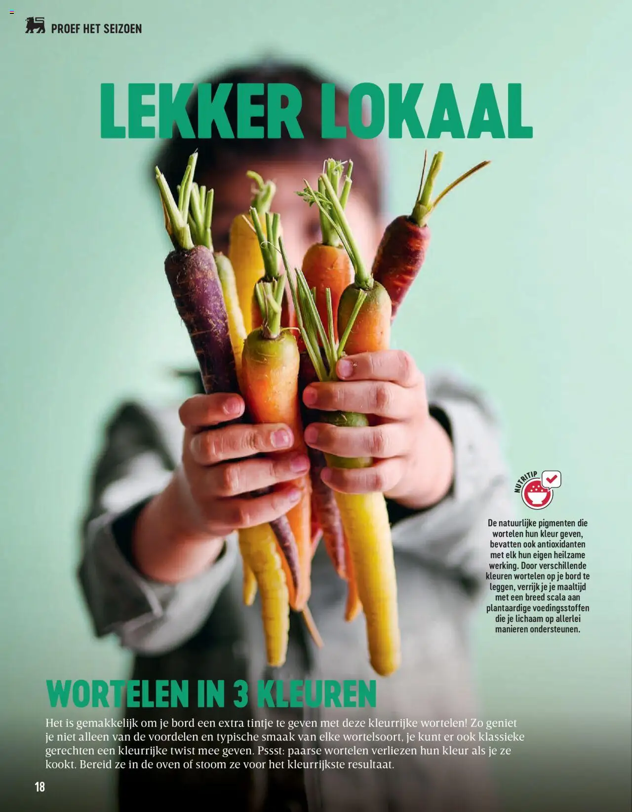 {H1} | Pagina: 18 | Producten: Oven, De oven, Wortelen, Bord