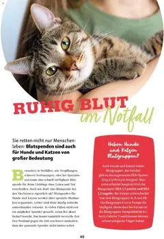 Fressnapf Flugblatt gültig ab 01.09.2025 | Seite: 40 | Produkte: Tisch