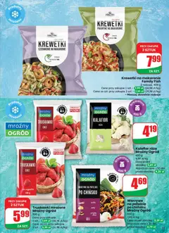 Pogląd oferty "Truskawki mrożone Mroźny Ogród, 500 g" - ważna od 29.10.2025 | Strona: 31
