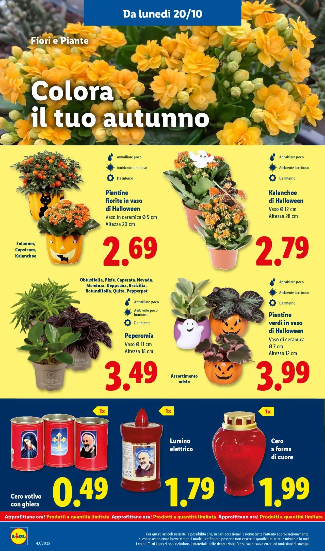 Volantino Lidl del 20.10.2025 | Pagina: 40 | Prodotti: Vaso