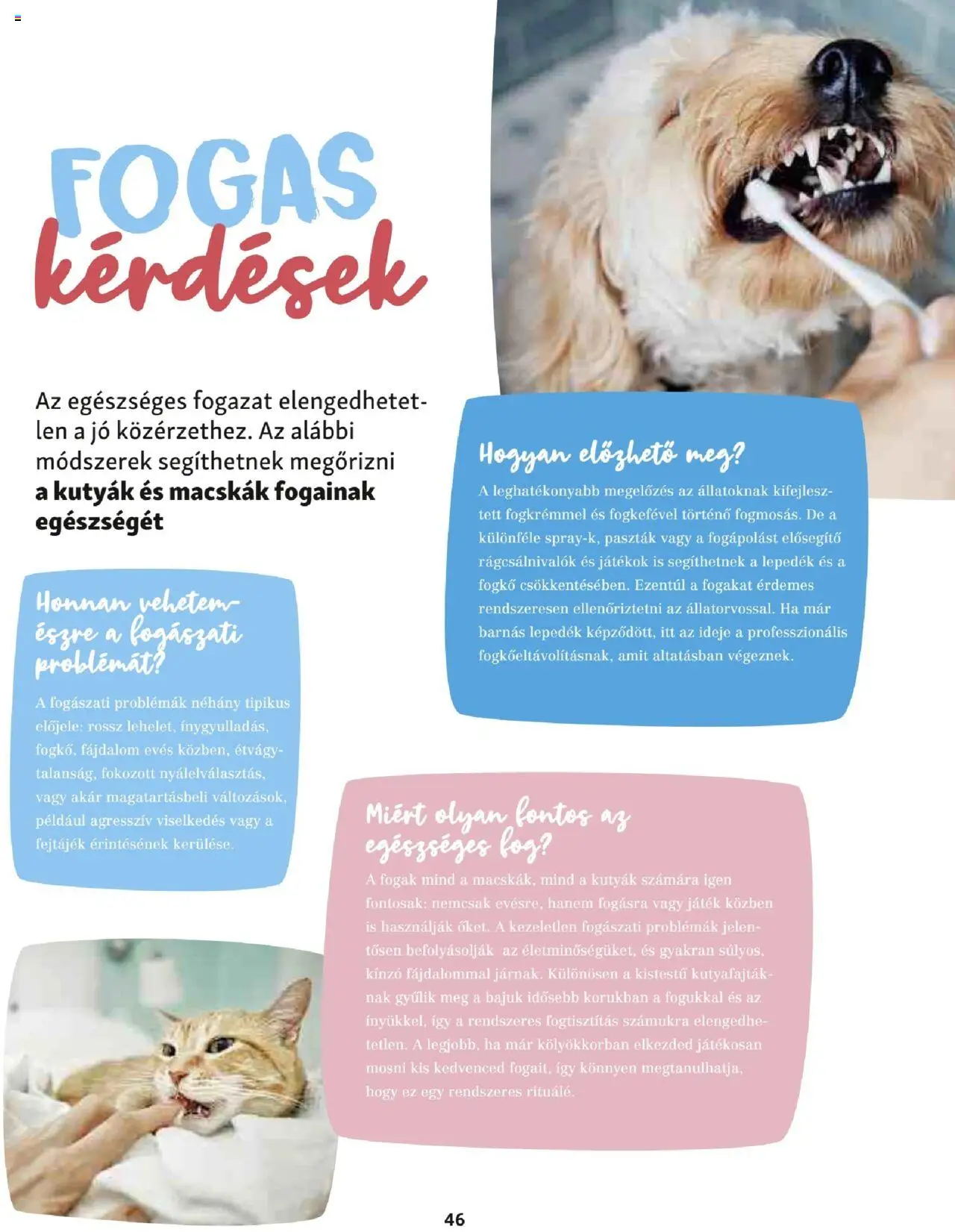 Fressnapf akciós ujság - amely érvényes a következő dátumtól: 05.05.2025 | Oldal: 46 | Termékek: Játék, Játékok, Fogas