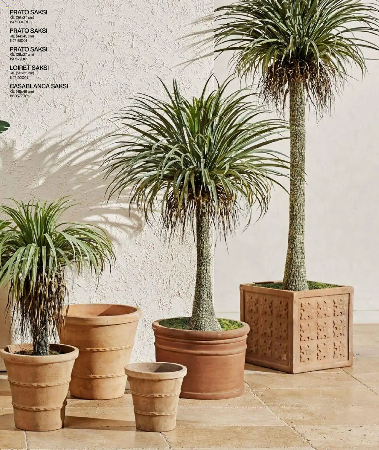 Mudo Katalog - BAHÇE 2025 - 04.06.2025 tarihinden itibaren geçerlidir | Sayfa: 103 | Ürünler: Saksı