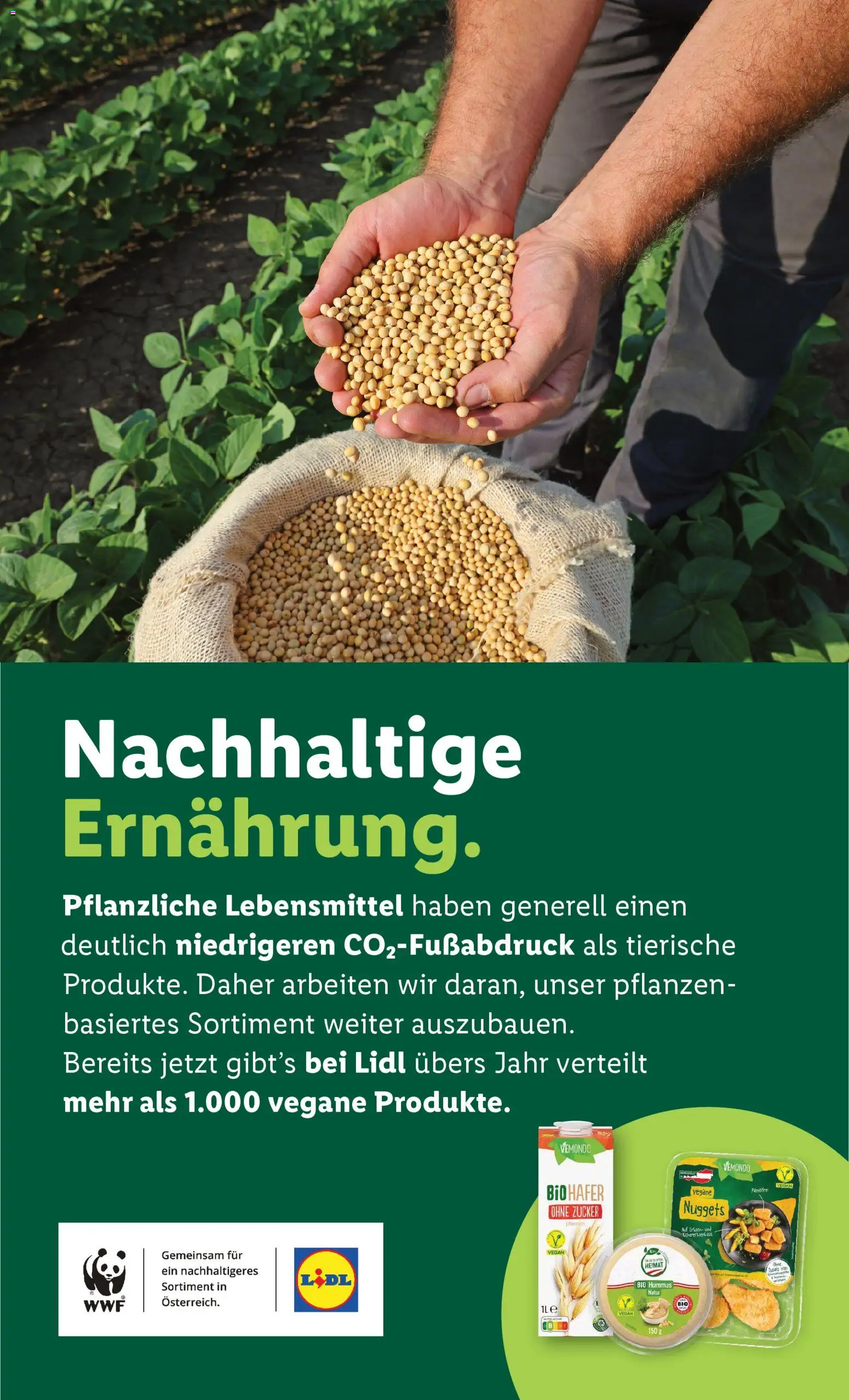 Lidl Flugblatt gültig ab 02.01.2026 | Seite: 44 | Produkte: Zucker, Erbsen, Libacomb
