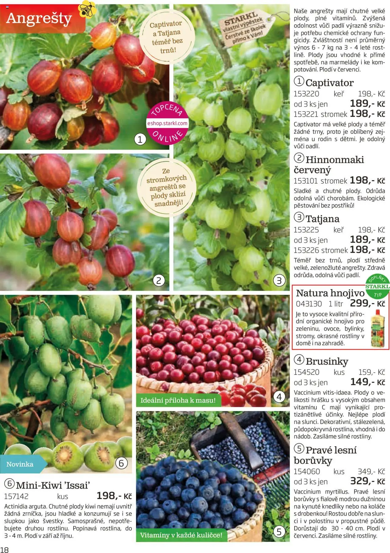Starkl katalog podzim 2025 od 01.08.2025 | Strana: 18 | Produkty: Kiwi, Borůvky, Rostliny, Brusinky