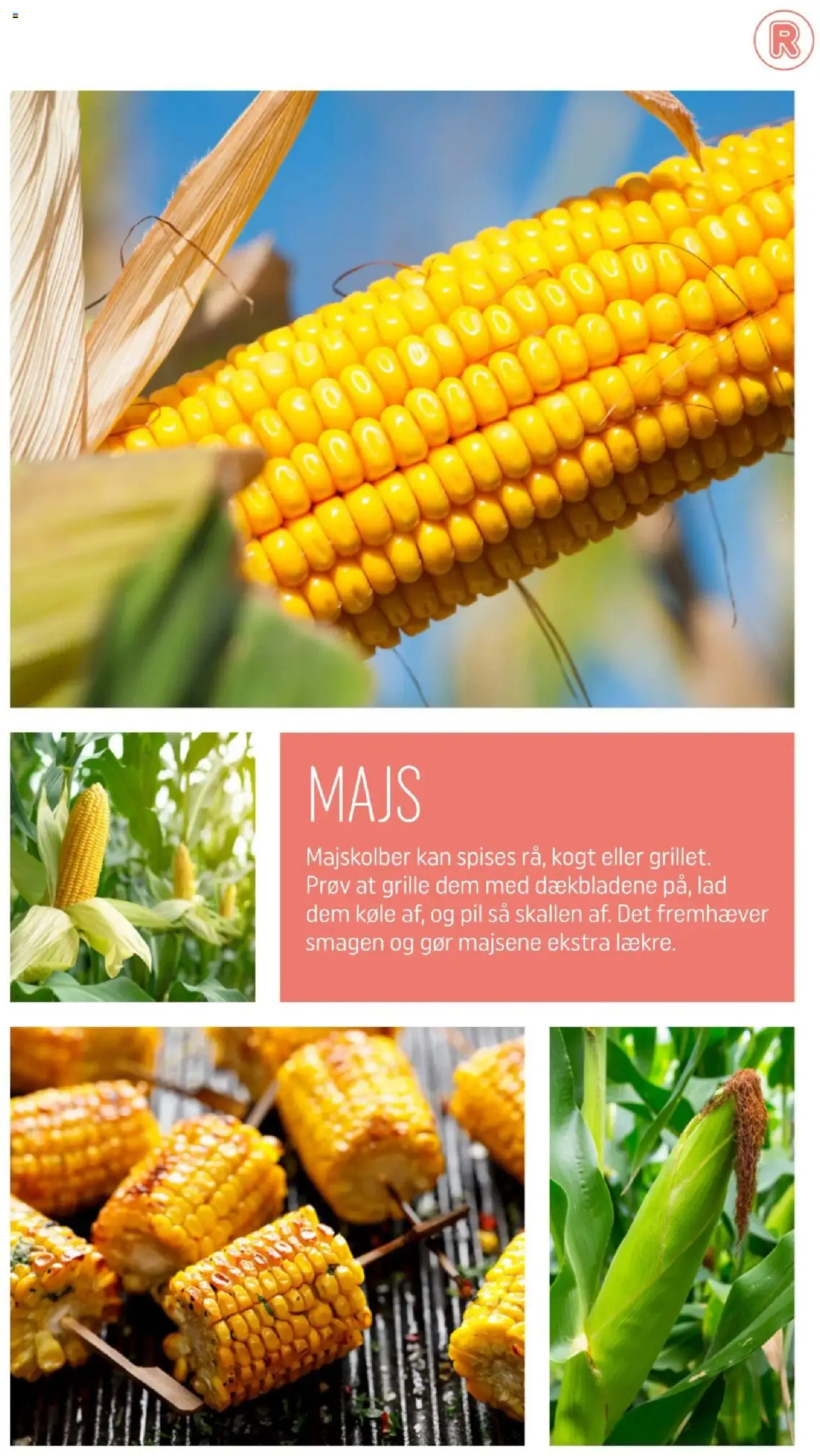 Rema 1000 Tilbudsavis gyldig fra 01.08.2025 | Side: 5 | Produkter: Majskolber, Majs
