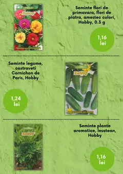 Ofertele Leroy Merlin valabile de la 27.02.2026 | Pagină: 5 | Produse: Semințe, Castraveți