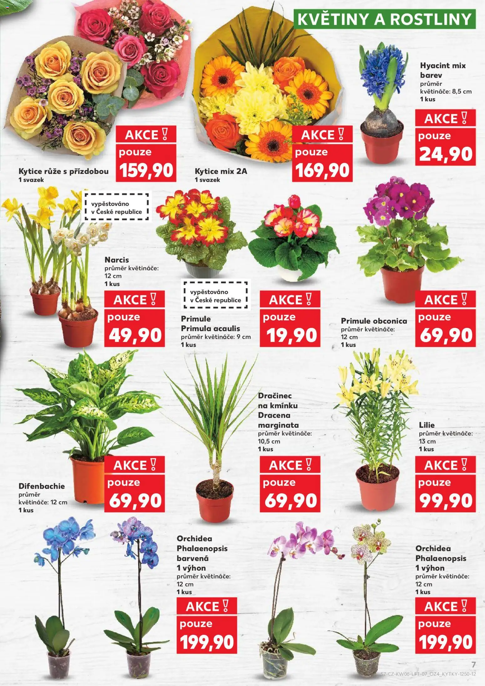 Kaufland leták - Chomutov od 18.02.2026 | Strana: 7 | Produkty: Květináče, Rostliny, Kytice, Květiny