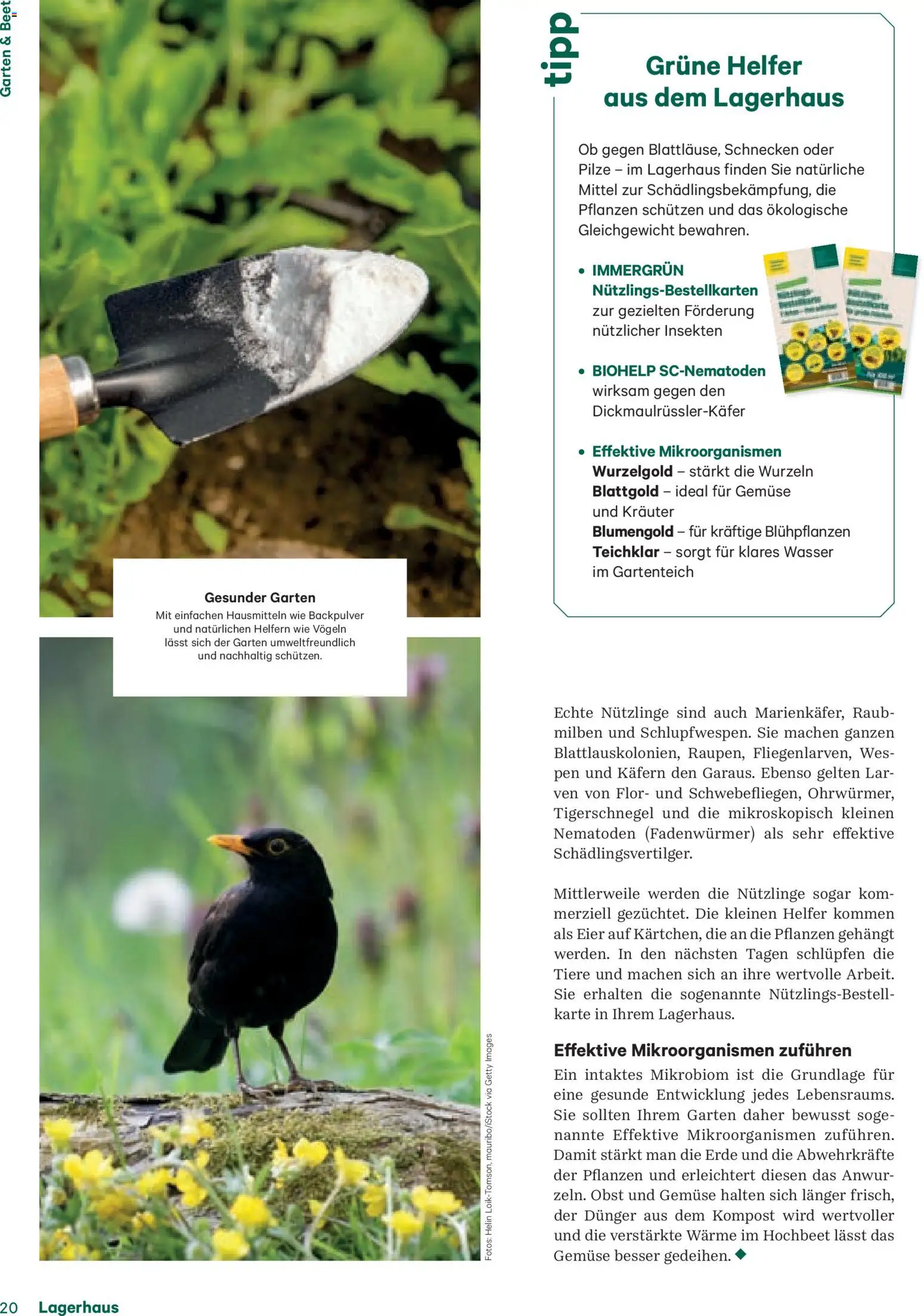 Lagerhaus Fürs Leben am Land gültig ab 01.11.2025 | Seite: 20 | Produkte: Wasser, Gemüse, Obst, Eier