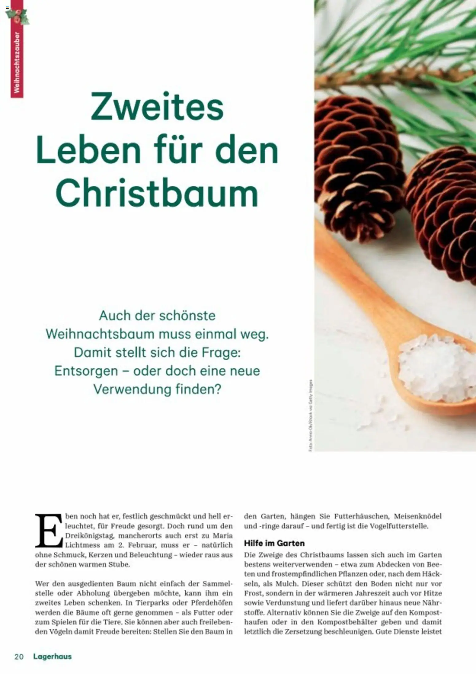 Lagerhaus Fürs Leben am Land gültig ab 01.11.2025 | Seite: 20 | Produkte: Wasser, Gemüse, Obst, Eier