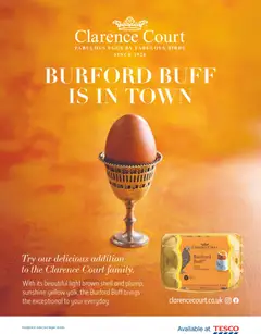 Preview of Tesco - Magazine - April 2026 valid from 01.04.2026 | Page: 32 | Products: Eggs