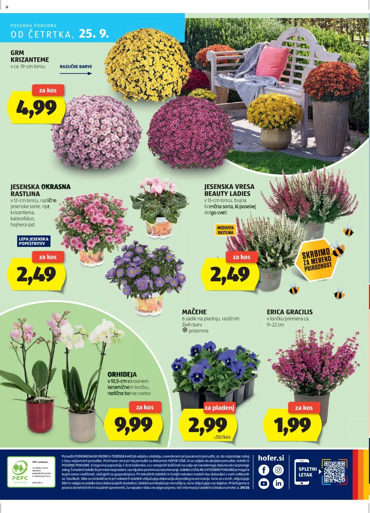 Hofer SI katalog | vrijedi od 18.09.2025 | Stranica: 32 | Proizvodi: Orhideja