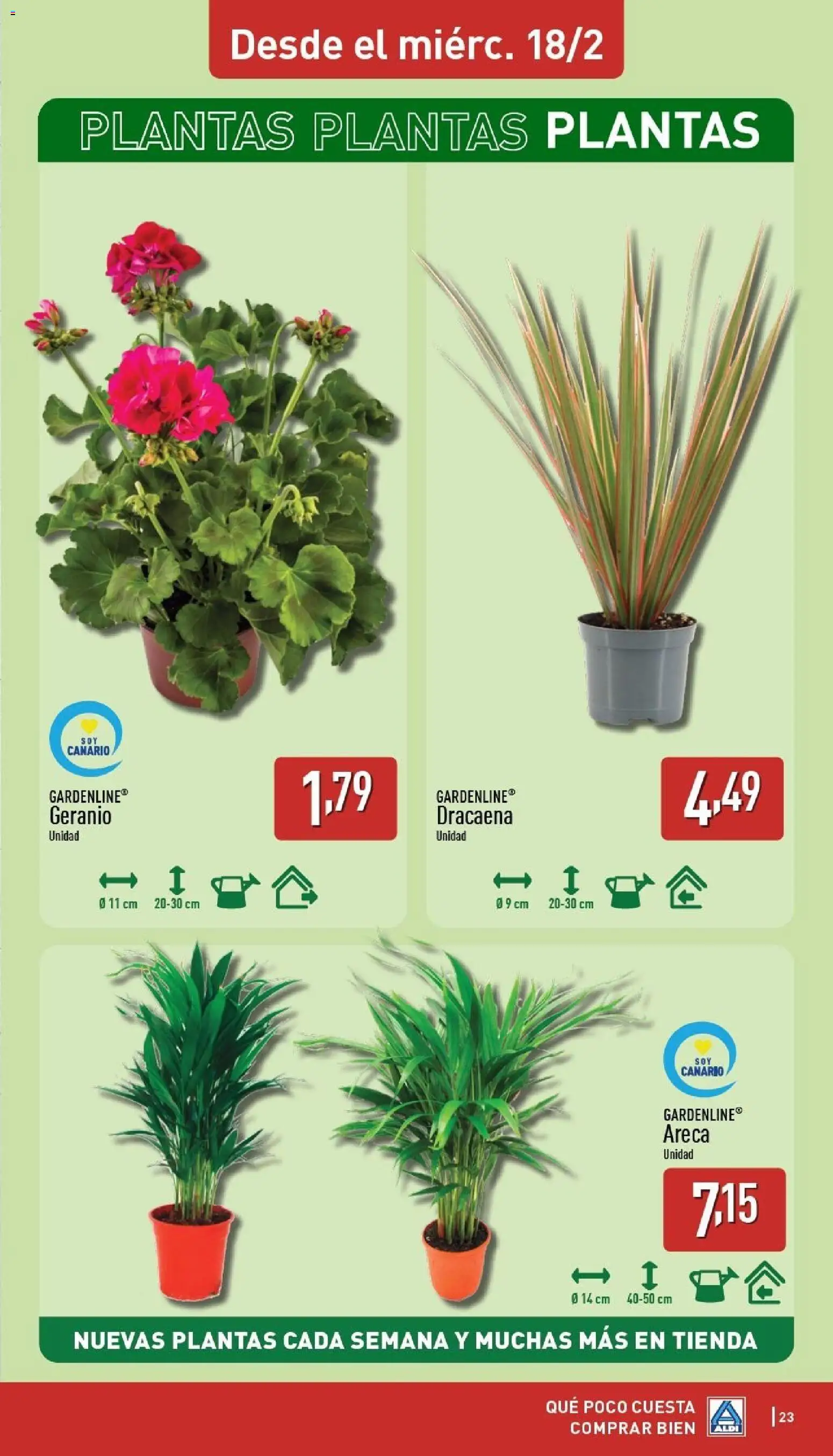 Aldi folleto Canarias │ válido desde el 16.02.2026 | Página: 23