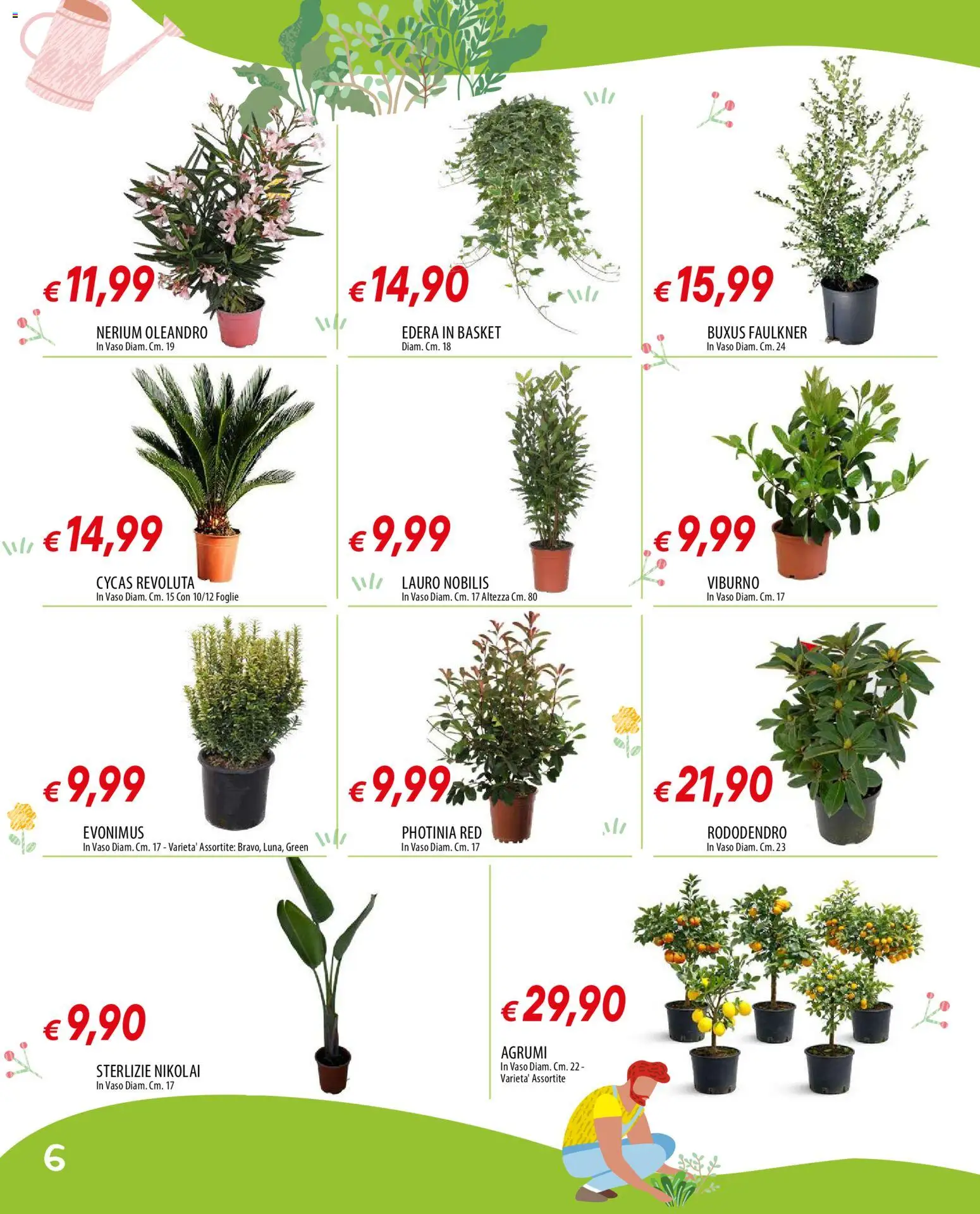 Volantino Famila del 12.03.2026 | Pagina: 6 | Prodotti: Agrumi, Vaso