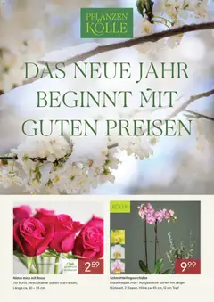 Pflanzen-Kölle Prospekt 	 ab 01.01.2026 gültig