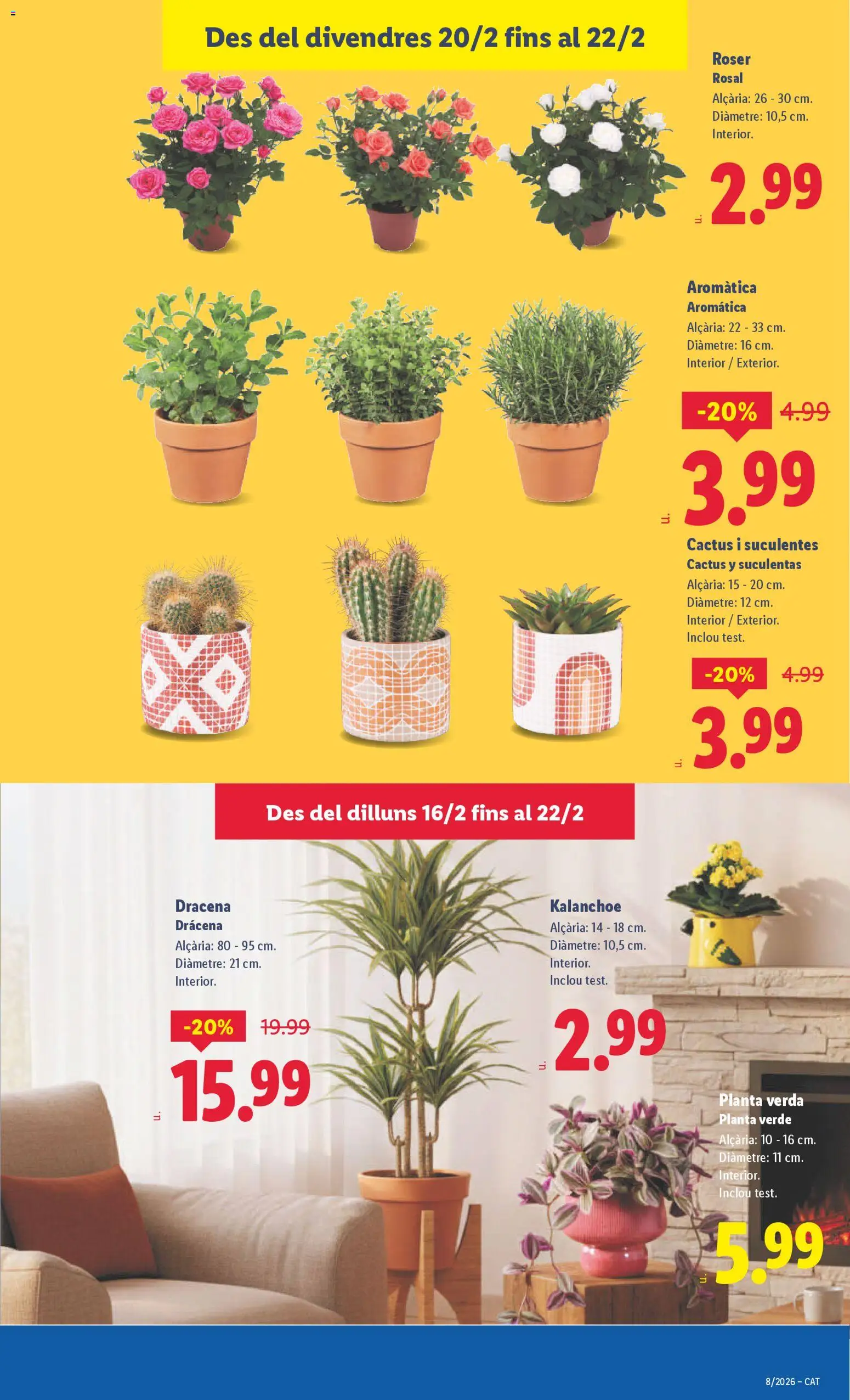 Lidl folleto │ válido desde el 16.02.2026 | Página: 41