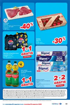  | Pagina: 51