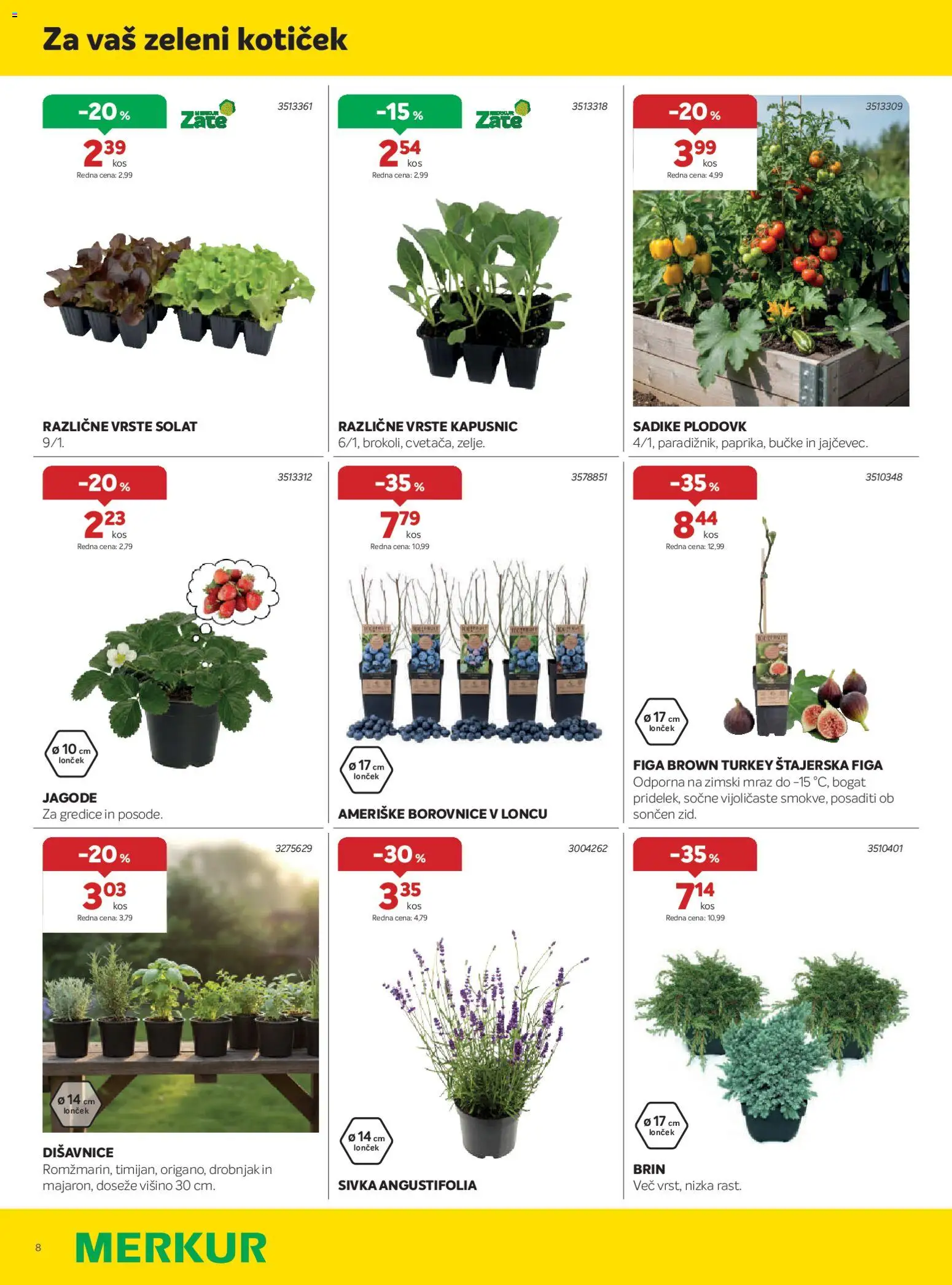 Novi Merkur katalog ponudbe – veljaven od 01.04.2026 | Stran: 8 | Izdelki: Borovnice, Jagode