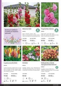 Náhled letáku Starkl katalog od 25.02.2026 | Strana: 64
