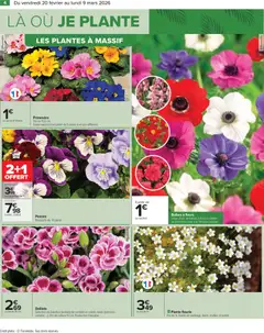 Carrefour - Prévisualisation de Carrefour Jardin valide à partir de 20.02.2026 | Page: 6