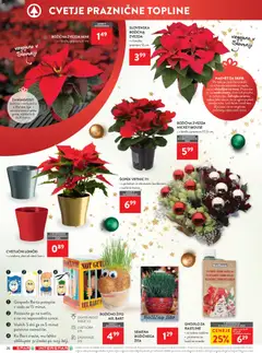 Spar katalog akcije – veljaven od 12.11.2025 | Stran: 32 | Izdelki: Cvetje, Šopek, Suši