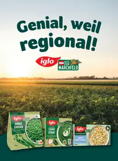 Billa  Frisch Gekocht ab 01.01.2026 gültig | Seite: 102