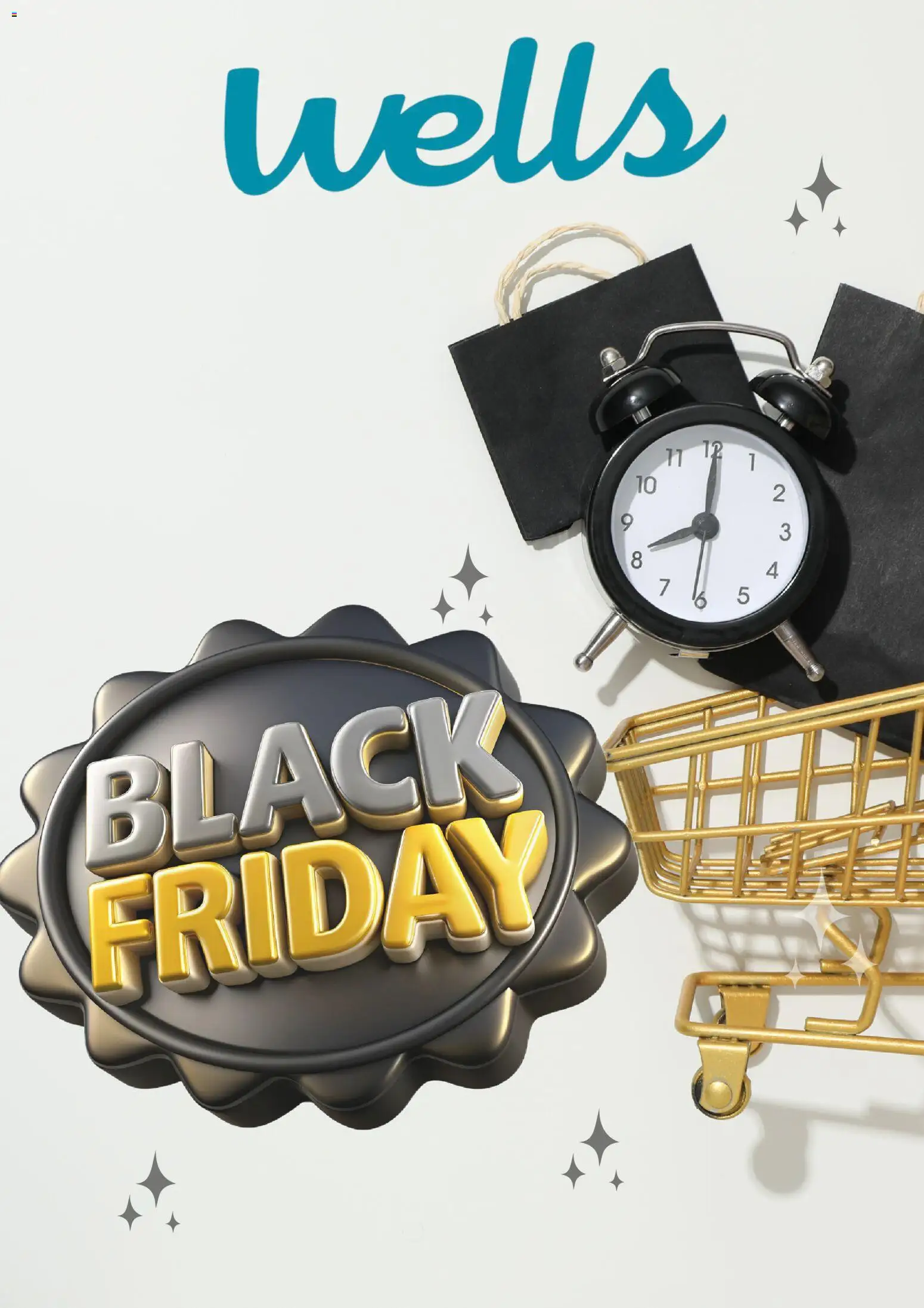 Well’s Black Friday │ válido de 28.11.2025 | Página: 1