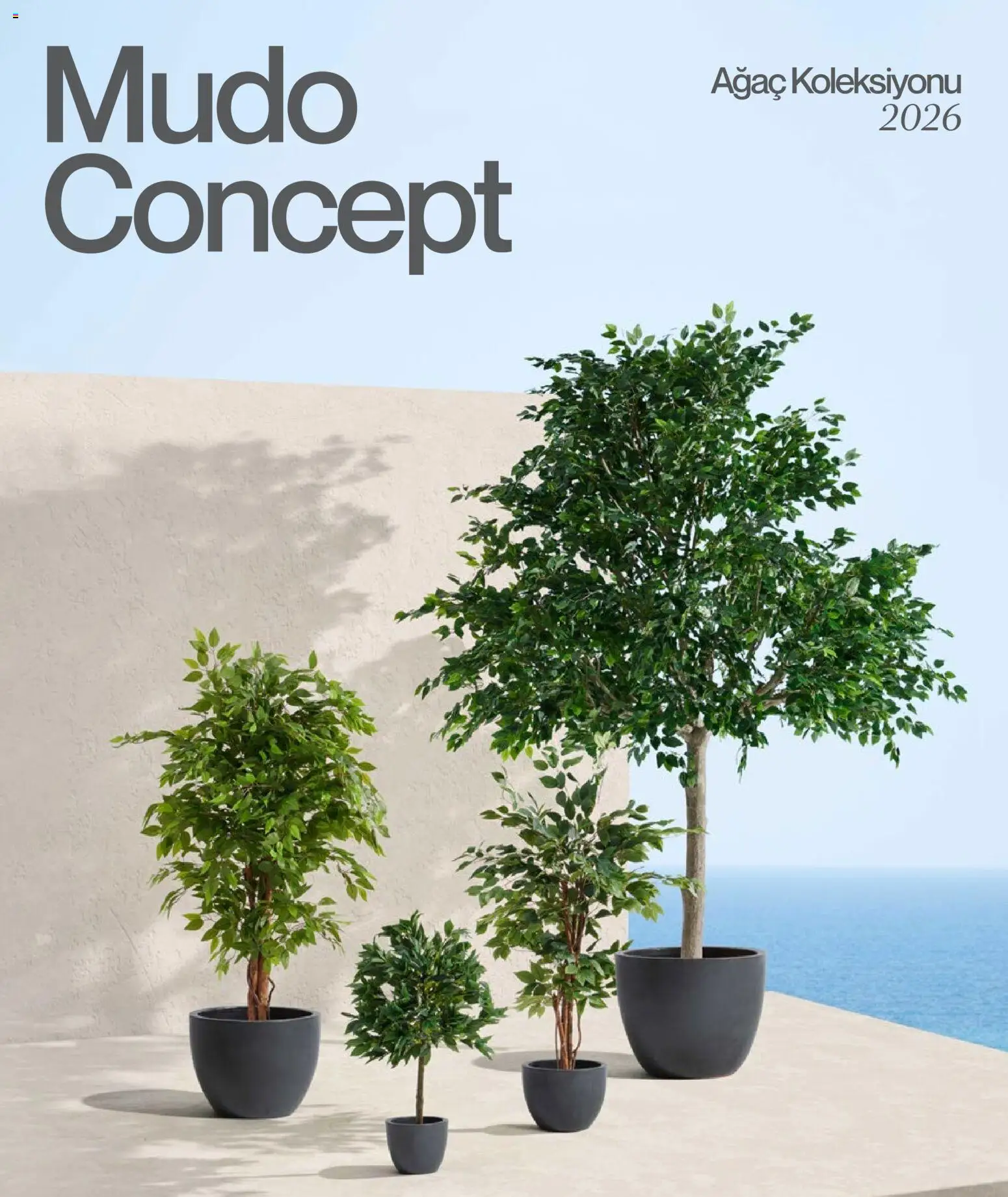 Mudo - Katalog  Ağaç 2026 - 01.01.2026 tarihinden itibaren geçerlidir | Sayfa: 1