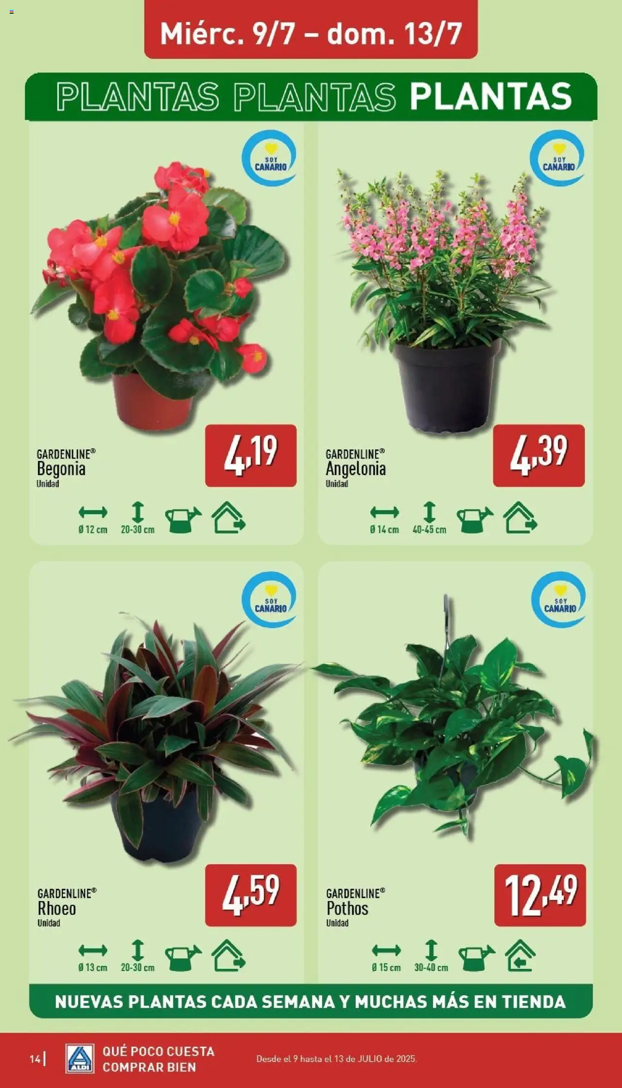 Aldi folleto Canarias │ válido desde el 07.07.2025 | Página: 14