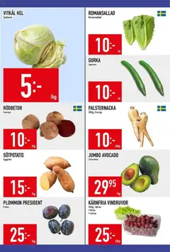 Matdax - erbjudanden - Förhandsvisning av reklamblad från butik Matdax aktuell från 20.10.2025 | Sida: 10 | Produkter: Avocado, Vindruvor, Plommon, Romansallad