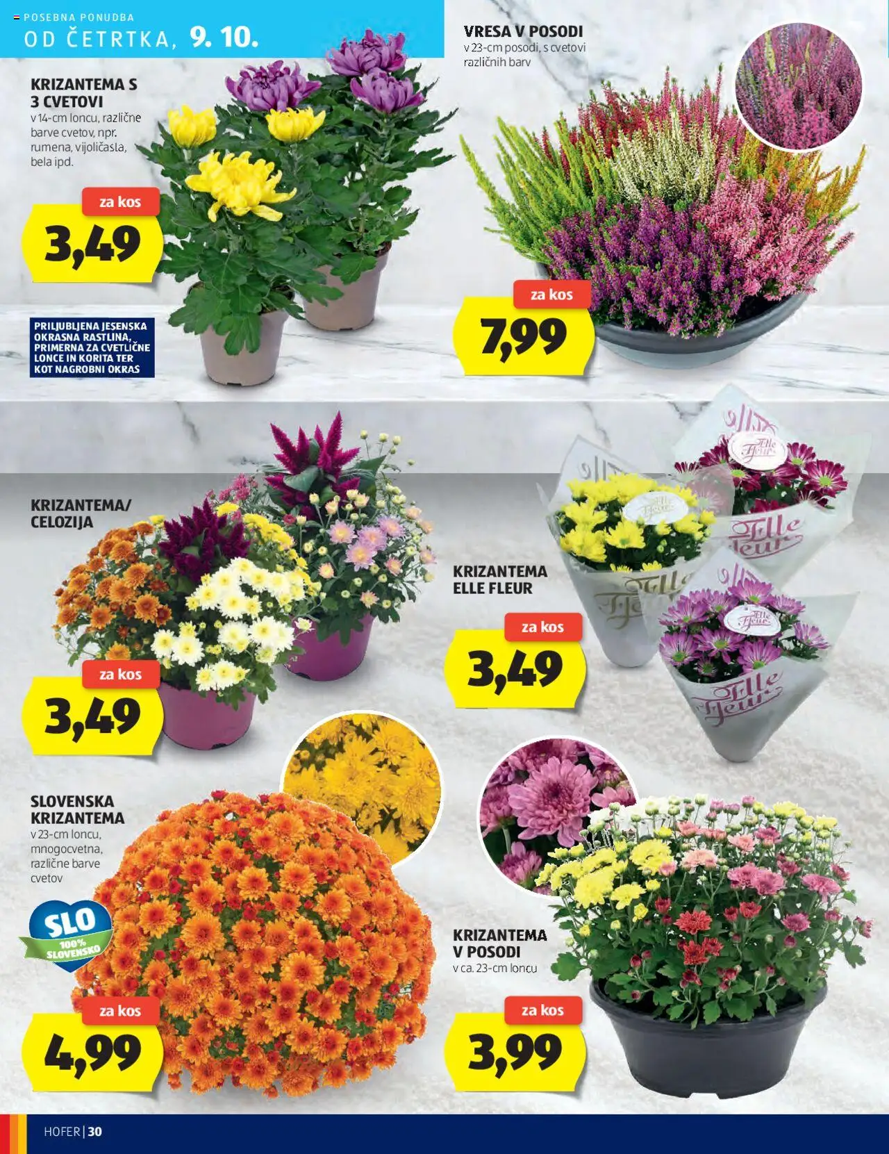Novi Hofer katalog ponudbe – veljaven od 02.10.2025 | Stran: 30 | Izdelki: Kos