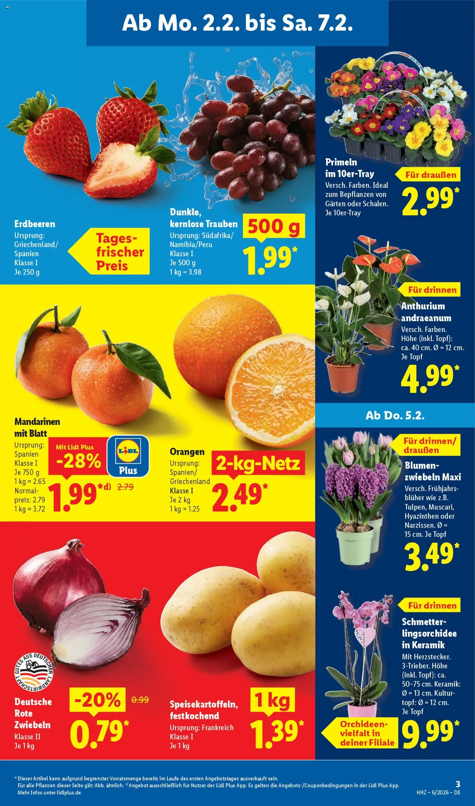 Lidl Prospekt München – gültig ab 02.02.2026 | Seite: 5