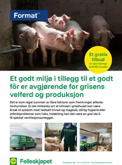 Forhåndsvisning av Felleskjøpet - Et godt miljø i tillegg til et godt fôr er avgjørende for grisens velferd og gyldig fra 02.01.2026