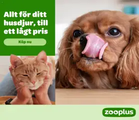 Zooplus - Förhandsvisning av reklamblad från butik Erbjudanden aktuell från 23.04.2026