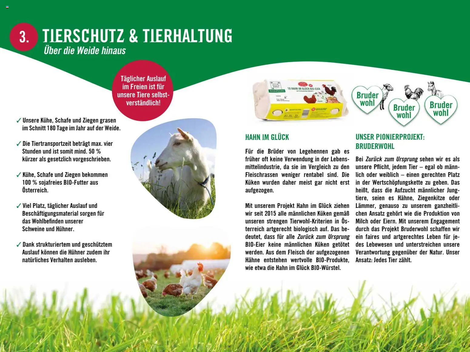 Hofer Alles über die nachhaltige Bio-Eigenmarke  gültig ab 20.02.2026 | Seite: 8 | Produkte: Milch