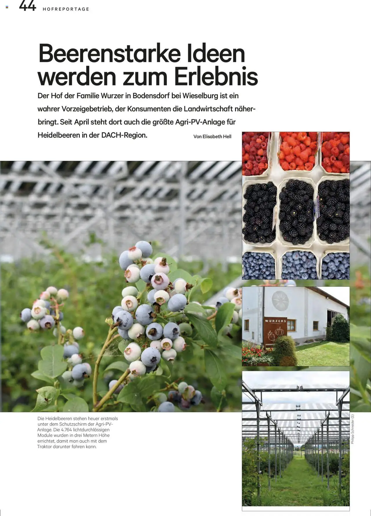 Lagerhaus  Unser Land September 2025 gültig ab 20.08.2025 | Seite: 44